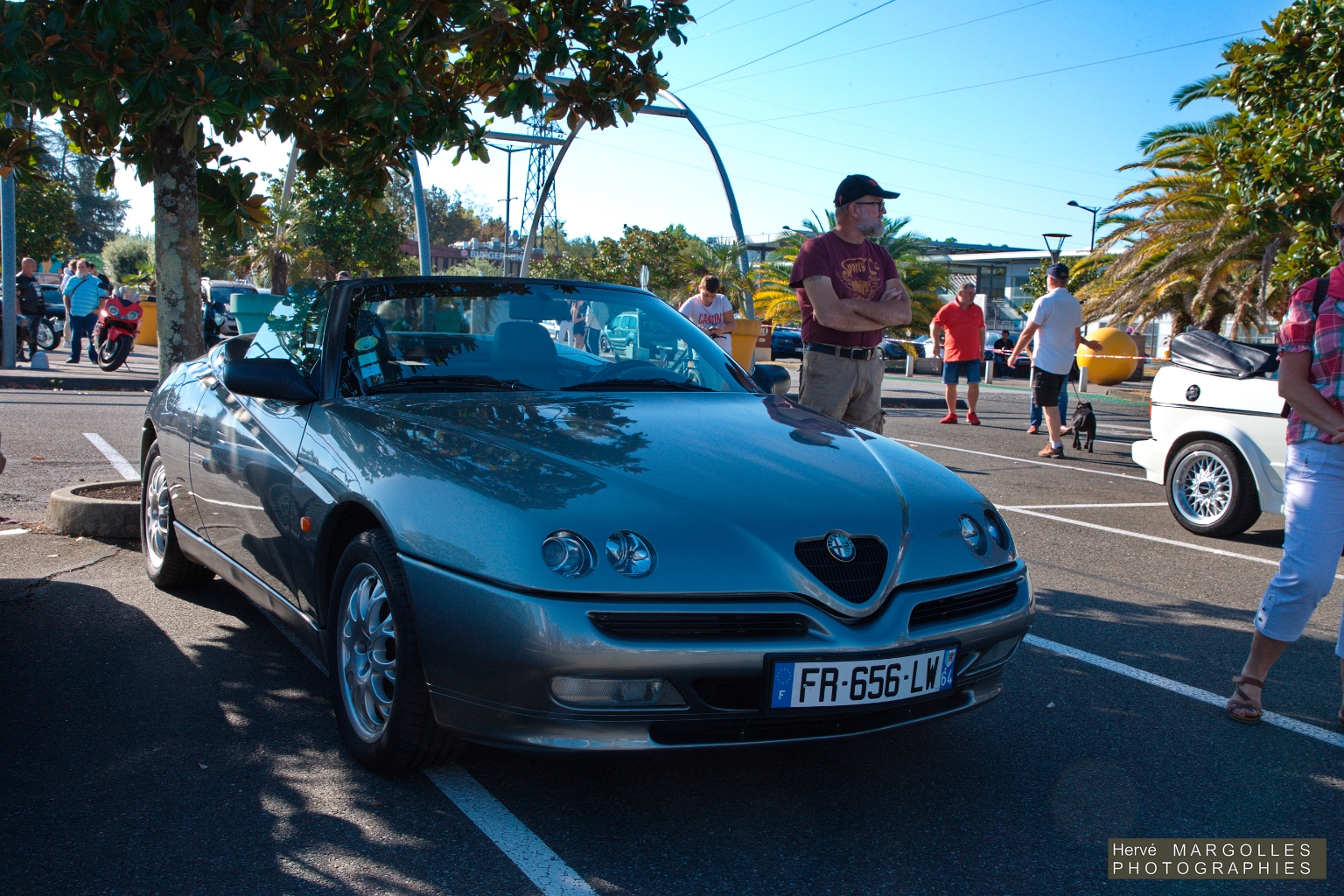 Alfa Romeo Spider -01.jpg